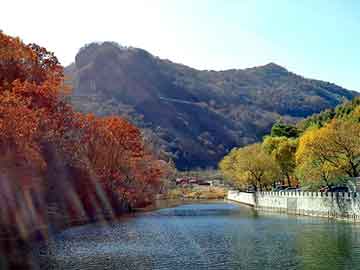 新澳天天开好彩资料大全，吉水seo建站